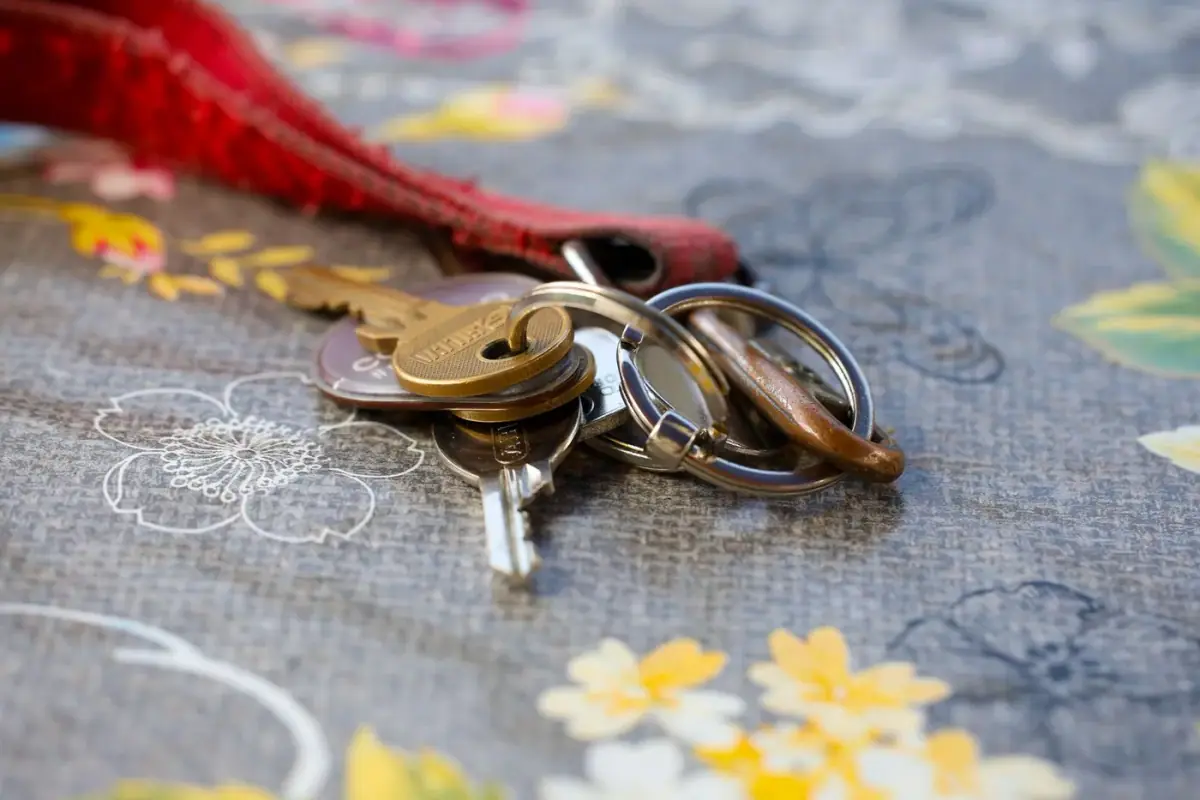 Set of car and house keys